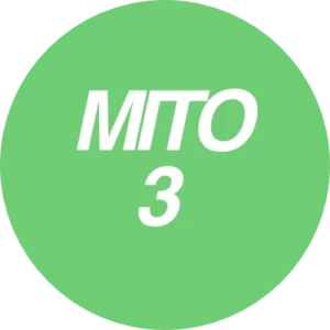 mito 3